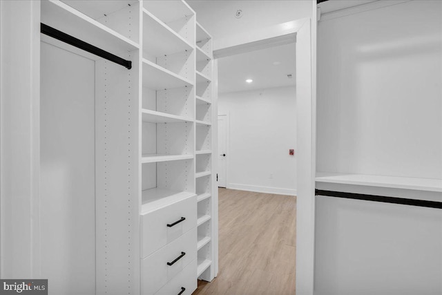 spacious closet featuring light wood finished floors