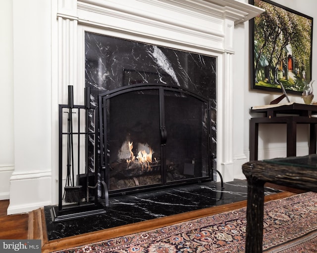 details featuring wood finished floors and a high end fireplace