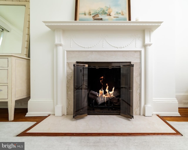 interior details with wood finished floors and a premium fireplace