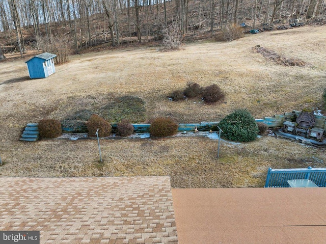 view of yard featuring an outdoor structure and a storage unit