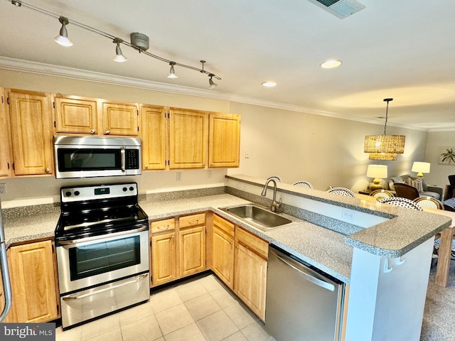 kitchen with a peninsula, crown molding, stainless steel appliances, and a sink