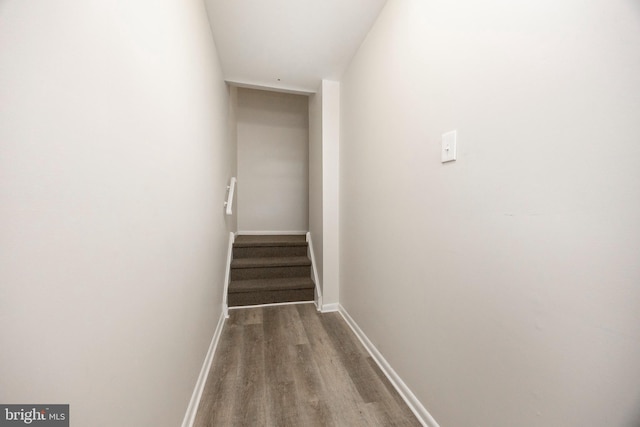 stairway featuring wood finished floors and baseboards