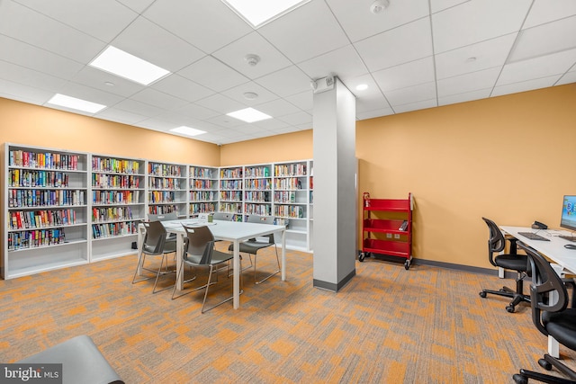 carpeted office space with bookshelves, a drop ceiling, and baseboards