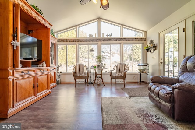 interior space featuring lofted ceiling, dark wood-type flooring, a wealth of natural light, and baseboards