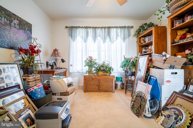 storage room with a ceiling fan