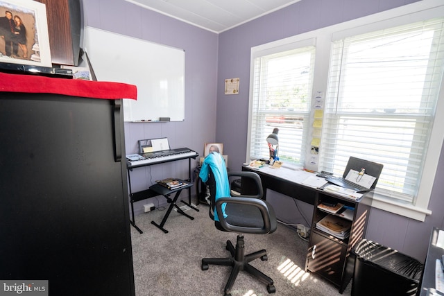 carpeted office with plenty of natural light