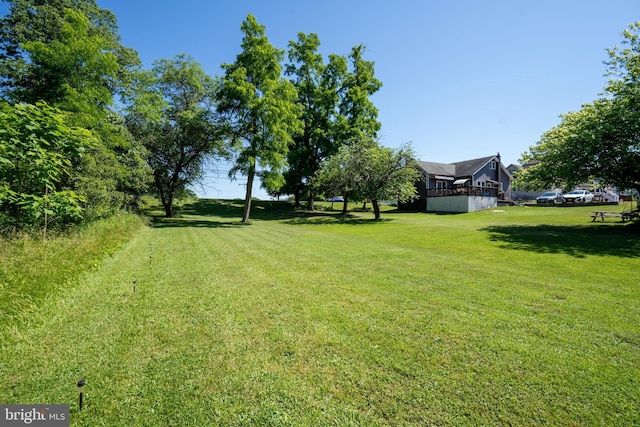 view of yard featuring a deck