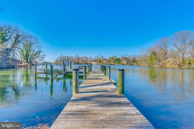 dock area featuring a water view