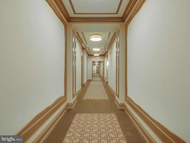 hall featuring carpet floors, baseboards, and ornamental molding