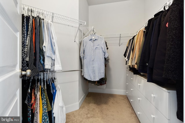 spacious closet featuring light colored carpet