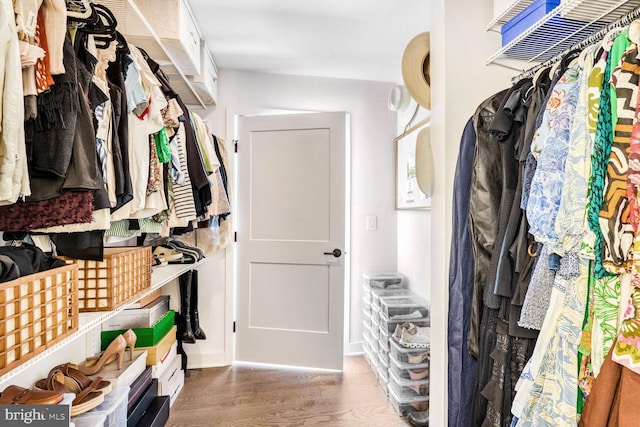 walk in closet featuring wood finished floors