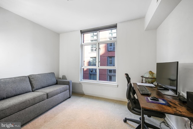 office area featuring baseboards and carpet flooring