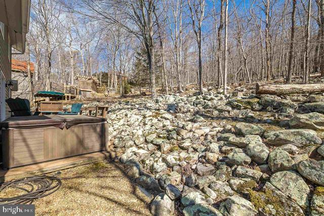 view of yard with a hot tub