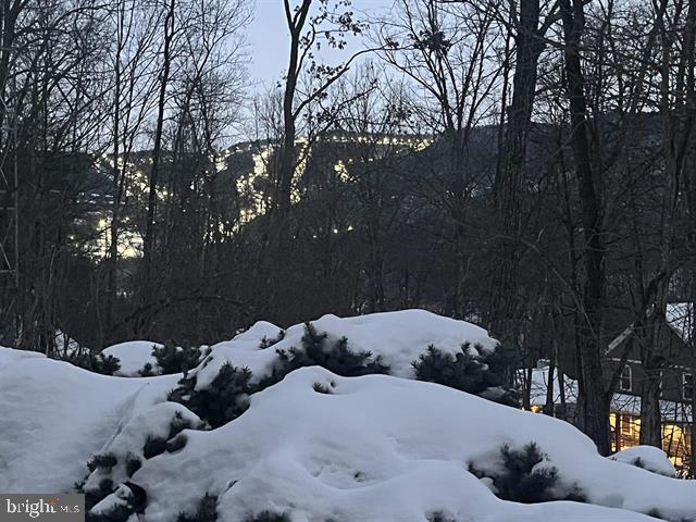 view of yard covered in snow