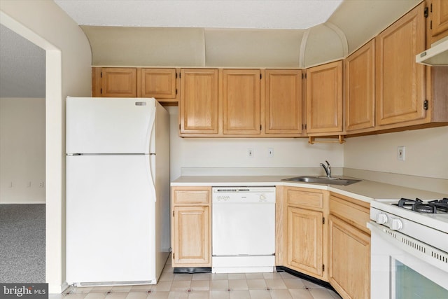 kitchen featuring white appliances, under cabinet range hood, light countertops, and a sink