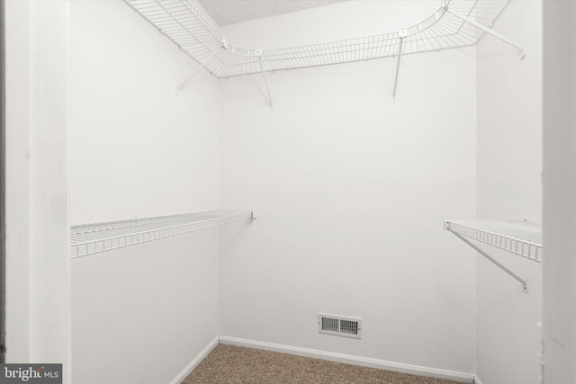 walk in closet featuring carpet floors and visible vents