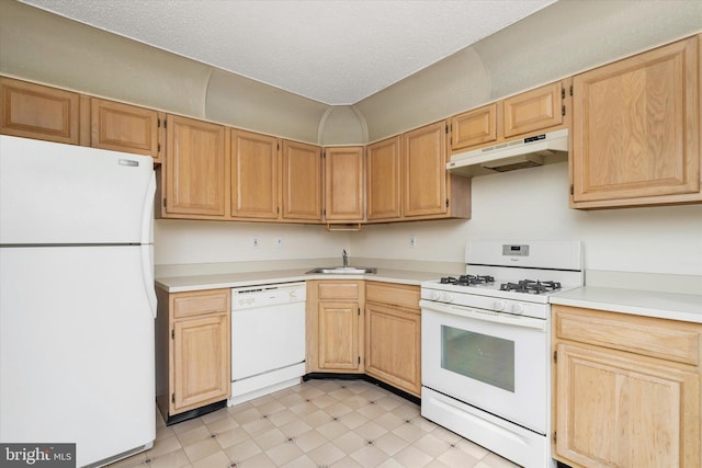 kitchen featuring light countertops, light brown cabinetry, a sink, white appliances, and under cabinet range hood