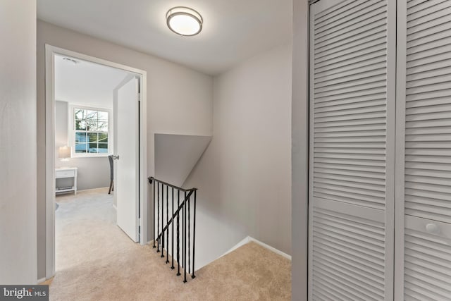 stairs featuring carpet floors