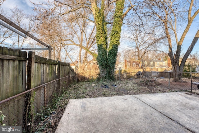 view of yard featuring a fenced backyard and a patio