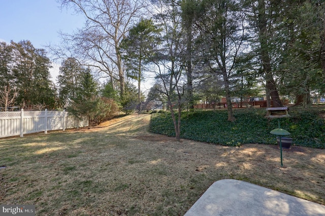 view of yard featuring fence