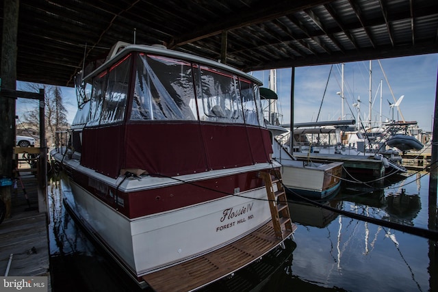 dock area with a water view