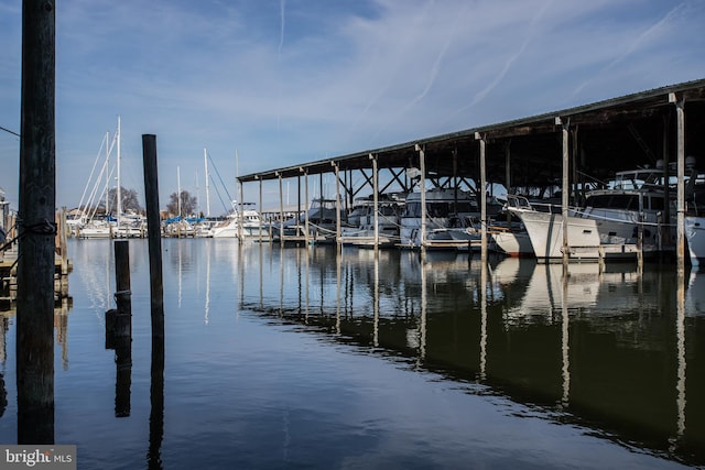 dock area with a water view