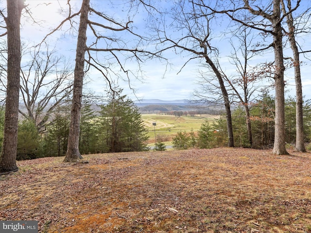 mountain view