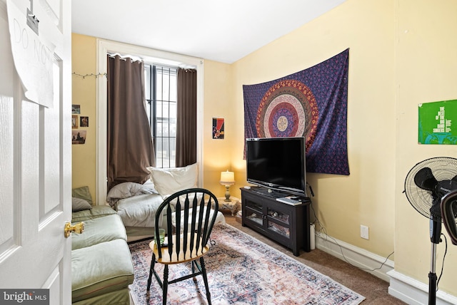 living area with carpet floors and baseboards