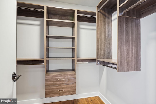 walk in closet featuring wood finished floors