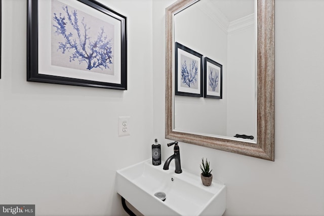 506 Ivy Cir, Alexandria, VA 22302 - bathroom featuring a sink and crown molding
