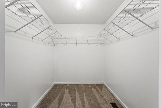 walk in closet with carpet and visible vents