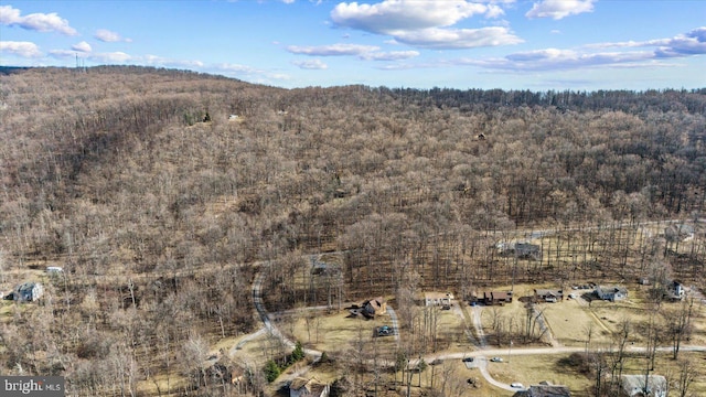 bird's eye view with a view of trees