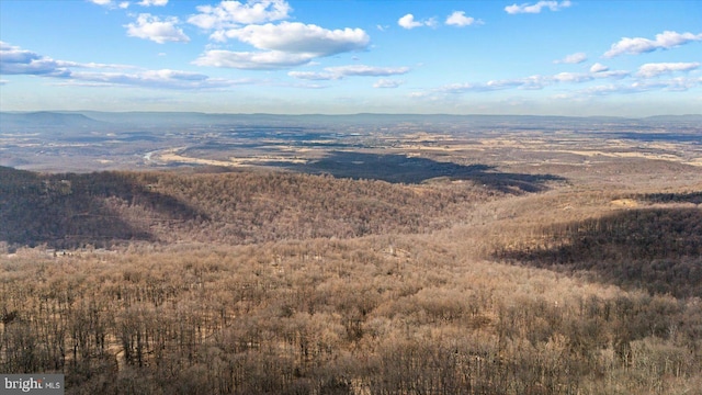 birds eye view of property featuring a mountain view