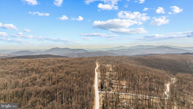 property view of mountains with a wooded view