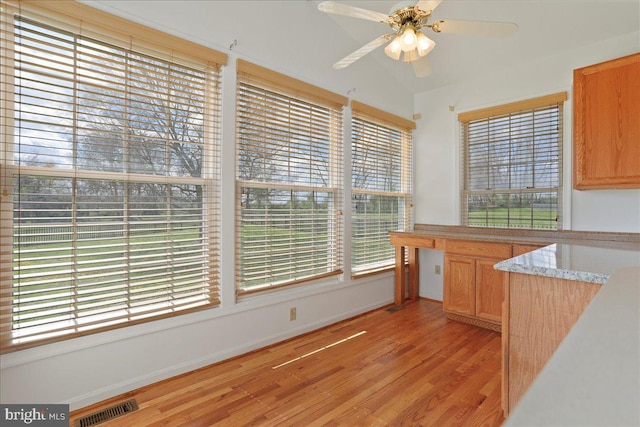 461 Apple Cross Rd, Harpers Ferry, WV 25425 - kitchen featuring plenty of natural light, a ceiling fan, visible vents, and light wood-style flooring