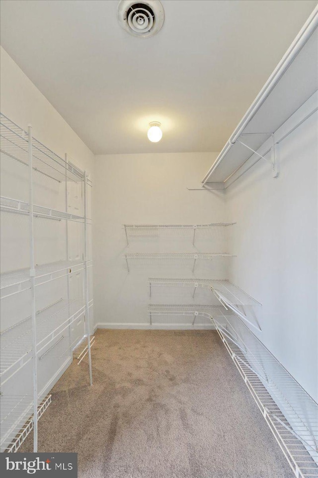 461 Apple Cross Rd, Harpers Ferry, WV 25425 - walk in closet with visible vents and carpet flooring