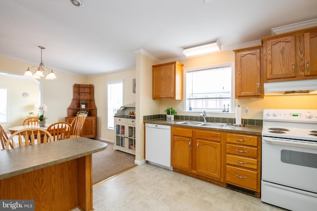 kitchen with plenty of natural light, white appliances, a sink, and ventilation hood