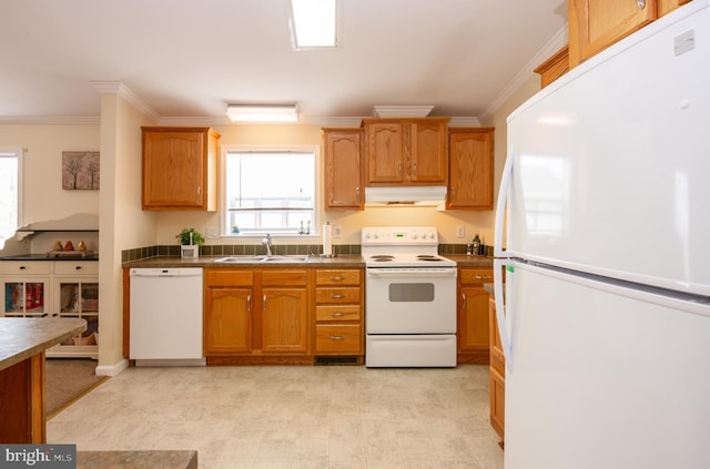 kitchen with white appliances, under cabinet range hood, ornamental molding, and a sink