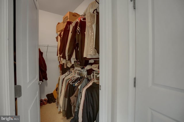 view of walk in closet