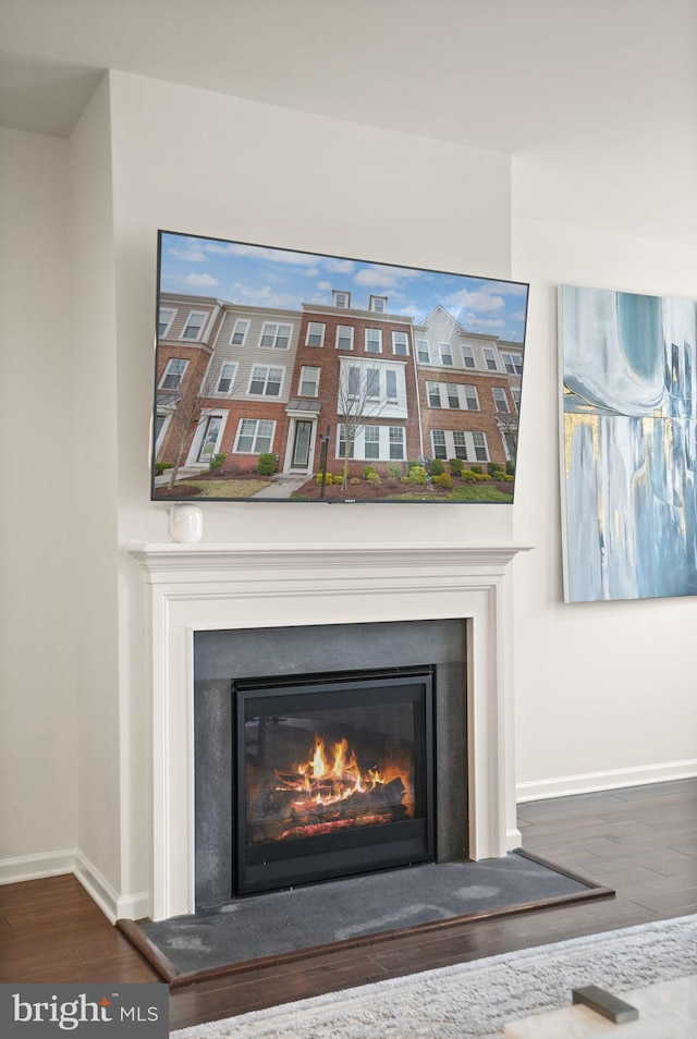 interior details featuring baseboards, wood finished floors, and a glass covered fireplace