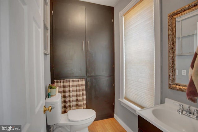 bathroom featuring vanity, toilet, wood finished floors, and plenty of natural light