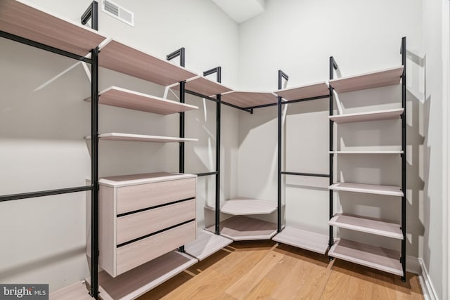 walk in closet featuring light wood finished floors and visible vents