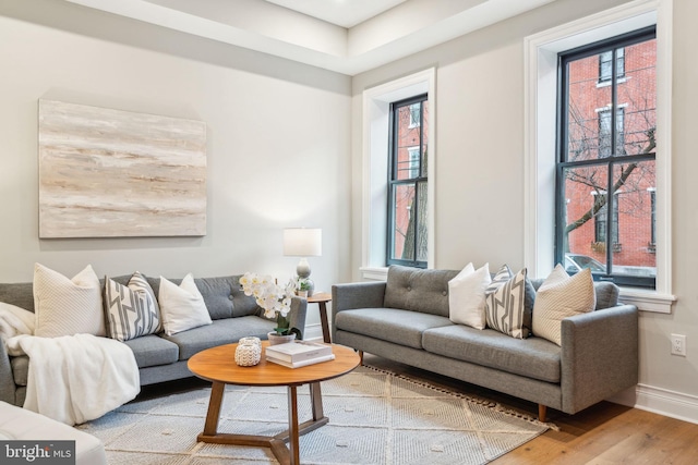 living area featuring baseboards and light wood-style floors