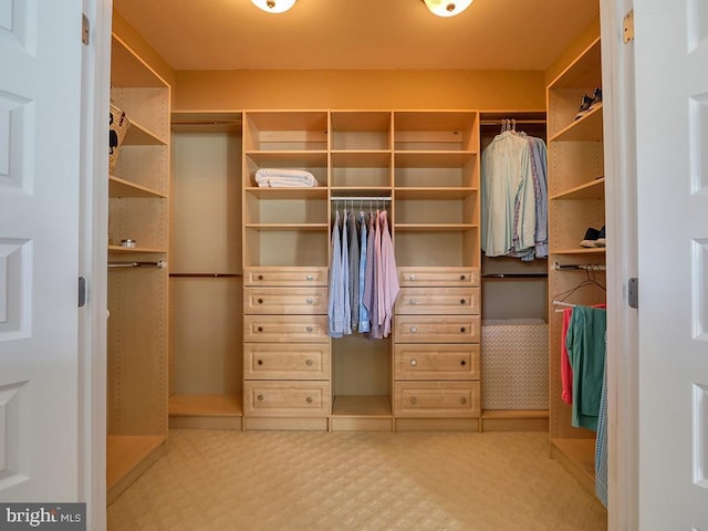 view of walk in closet