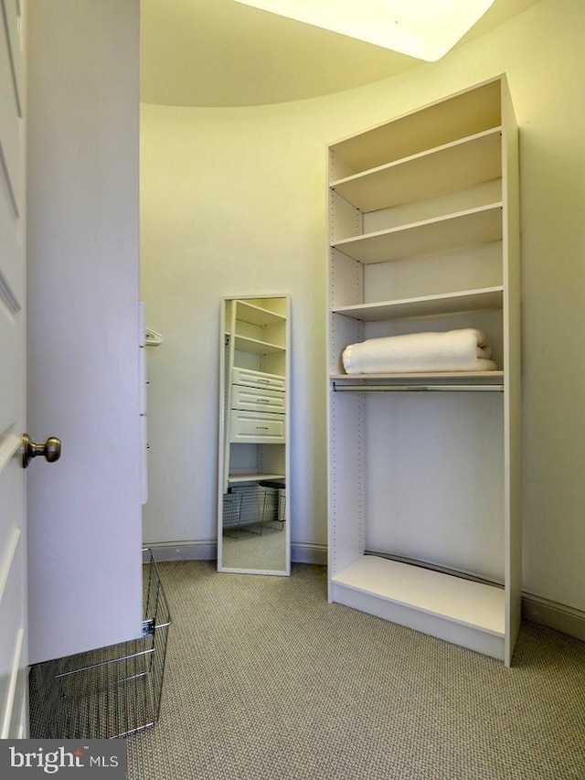 spacious closet featuring carpet