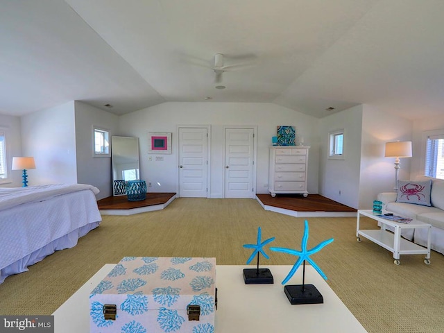 bedroom with vaulted ceiling