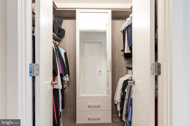 view of walk in closet