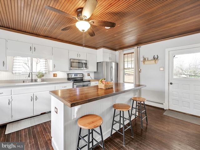 kitchen with dark wood-style floors, wooden counters, a sink, stainless steel appliances, and baseboard heating