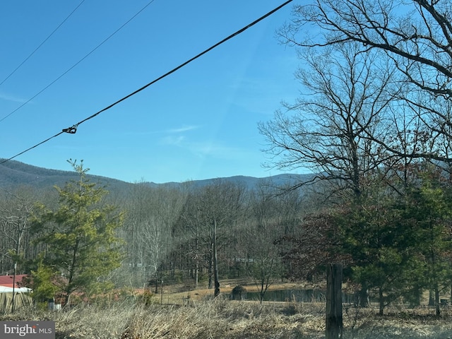 property view of mountains with a wooded view