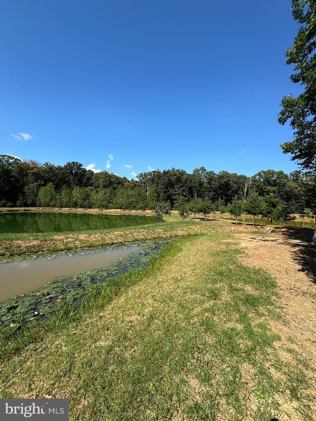 property view of water with a view of trees